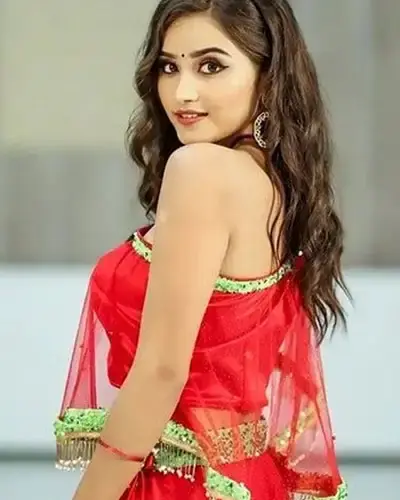 Escort In Santalpur